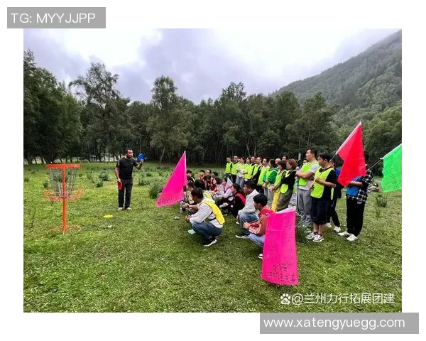 飞盘盛宴：深入了解北京飞盘队的默契与协作精神