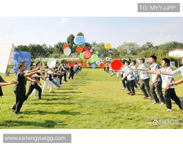 飞盘灵活性排行榜揭晓深圳飞盘队荣获第四名成就斐然