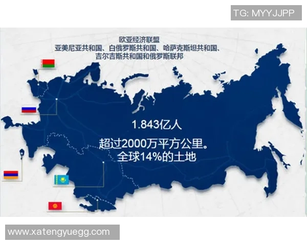 俄罗斯与伊朗男排激战正酣谁能在这场较量中夺得胜利