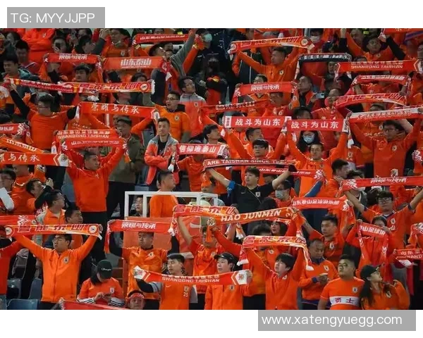 北京对阵浙江精彩全场回放分析与赛后点评