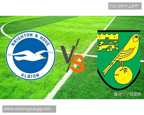 布莱顿与诺维奇对决前瞻分析及比赛结果预测