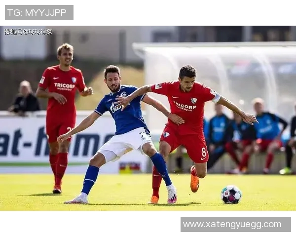 波鸿对阵基尔精彩直播全程回顾及赛后分析尽在这里