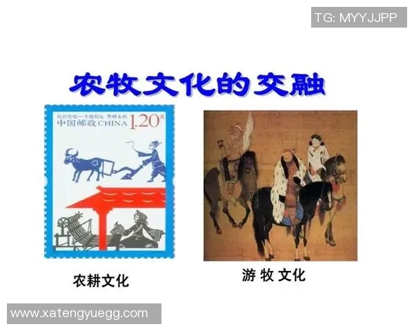 米利唐的传奇故事与历史影响探究：从古代文明到现代文化的交融与发展